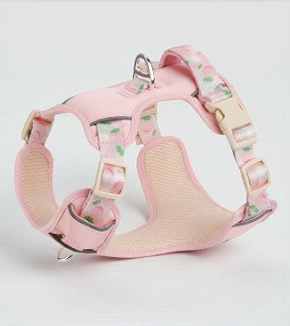 Arnés Ergonómico para Perro